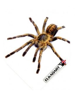 Aleta Elkadart Pro 1837 Death Spider