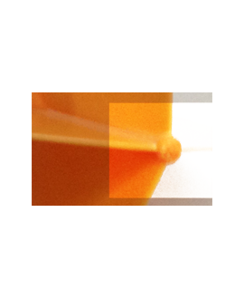 Aletas dardos Robson Plus