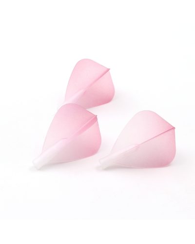 Aleta Cuesoul Tero AK4 Flight Kite Gradient Rosa