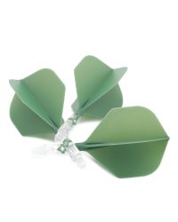 Cuesoul  AK57 Rost T19 Small STD Green S