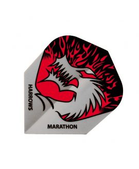 Aleta Harrows darts Marathon 1529