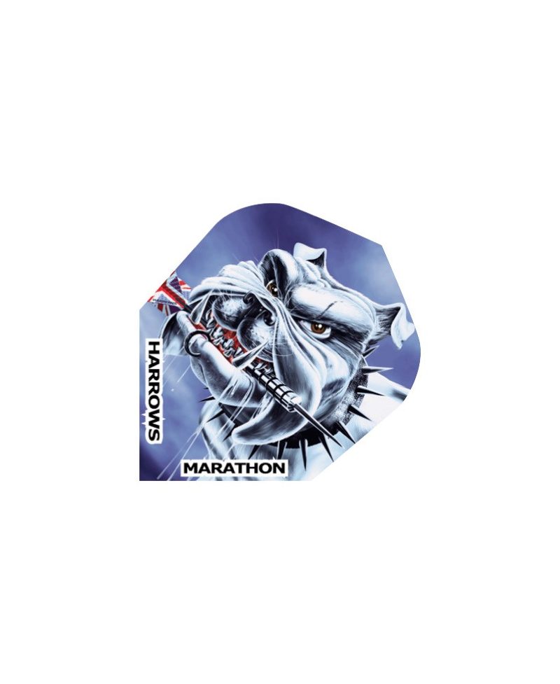 Aleta Harrows darts Marathon 1546