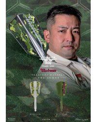 Aleta Condor AXE Dart Flights - WING - The Armor