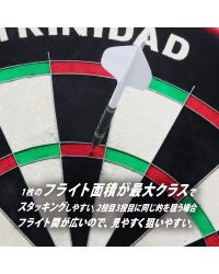 Condor darts flights AXE 120  STD Black